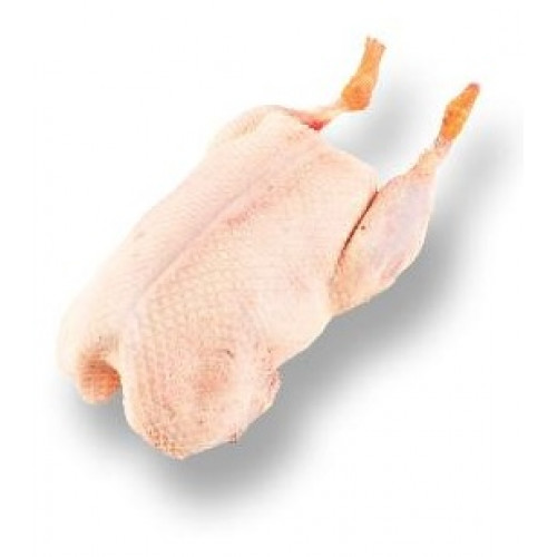 Fresh duck, about 600g - order in the evening, in the morning in the store