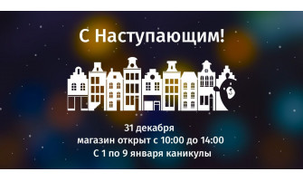 Новогодние каникулы