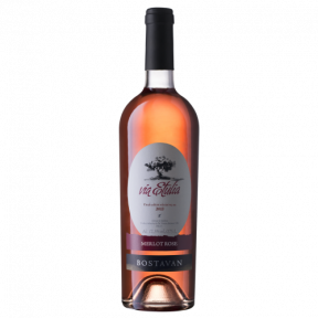 Молдавское розовое сухое вино Bostavan Merlot Via Etulia Молдавское розовое сухое вино Bostavan Merlot Via Etulia