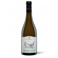 Грузинское белое сухое Qvevri вино Askaneli Rkatsiteli