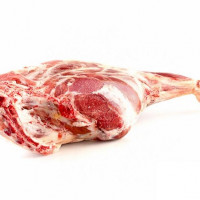 Lamb
