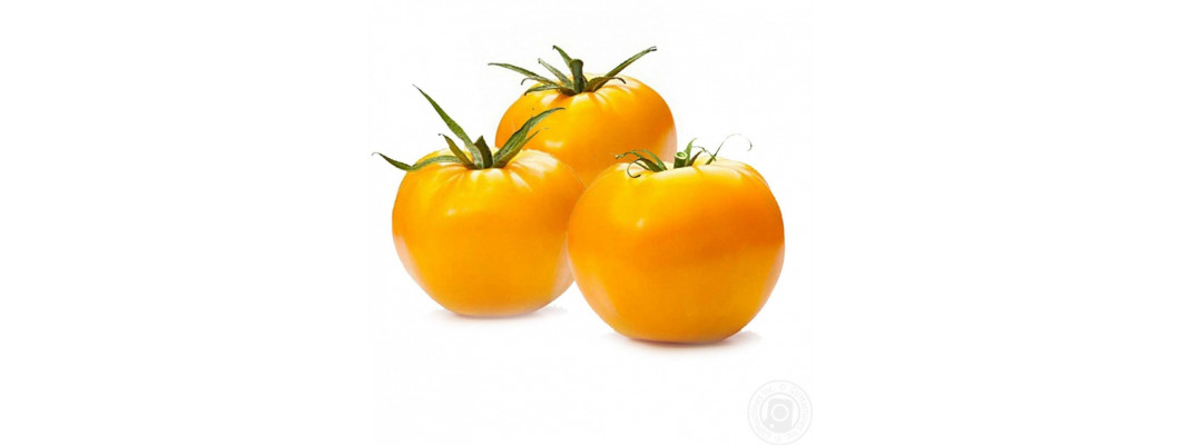 Yellow tomatoes